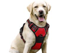 rabbitgoo Dog Harness Large Dog No Pull Pet Harness with 2 Leash Clips, Adjustable Soft Padded Pet Vest, Reflective No-Choke with Easy Control Handle for Training or Walking, Red, L