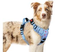 rabbitgoo Dog Harness Large Dog No Pull Pet Harness with 2 Leash Clips, Adjustable Soft Padded Pet Vest Harness, Reflective No-Choke with Easy Control Handle for Training or Walking, Floral Blue, M