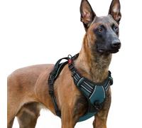 rabbitgoo Dog Harness Large Dog No Pull Pet Harness with 2 Leash Clips, Adjustable Soft Padded Pet Vest Harness, Reflective No-Choke with Easy Control Handle for Training or Walking, Dark Green, XL