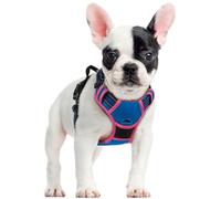rabbitgoo Dog Harness Large Dog No Pull Pet Harness with 2 Leash Clips, Adjustable Soft Padded Pet Vest, Reflective No-Choke with Easy Control Handle for Training or Walking, Blue & Rose Red, S