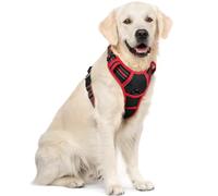 rabbitgoo Dog Harness Large Dog No Pull Pet Harness with 2 Leash Clips, Adjustable Soft Padded Pet Vest, Reflective No-Choke with Easy Control Handle for Training or Walking, Black Red XL