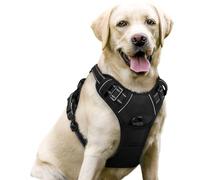 rabbitgoo Dog Harness Large Dog No Pull Pet Harness with 2 Leash Clips, Adjustable Soft Padded Pet Vest, Reflective No-Choke with Easy Control Handle for Training or Walking, Black, L