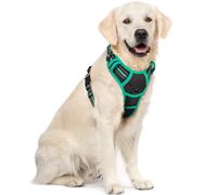 rabbitgoo Dog Harness Large Dog No Pull Pet Harness with 2 Leash Clips, Adjustable Soft Padded Pet Vest, Reflective No-Choke with Easy Control Handle for Training or Walking, Black Mintgreen, XL