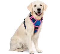 rabbitgoo Dog Harness Large Dog No Pull Pet Harness with 2 Leash Clips, Adjustable Soft Padded Pet Vest, Reflective No-Choke with Easy Control Handle for Training or Walking, Blue & Rose Red, XL