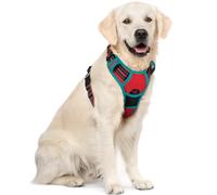 rabbitgoo Dog Harness Large Dog No Pull Pet Harness with 2 Leash Clips, Adjustable Soft Padded Pet Vest, Reflective No-Choke with Easy Control Handle for Training or Walking, Red & Teal, XL