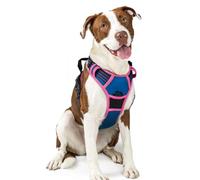 rabbitgoo Dog Harness Large Dog No Pull Pet Harness with 2 Leash Clips, Adjustable Soft Padded Pet Vest, Reflective No-Choke with Easy Control Handle for Training or Walking, Blue & Rose Red, L