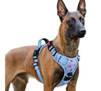 rabbitgoo Dog Harness Large Dog No Pull Pet Harness with 2 Leash Clips, Adjustable Soft Padded Pet Vest Harness, Reflective No-Choke with Easy Control Handle for Training or Walking, Floral Blue, XL