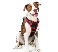 rabbitgoo Dog Harness Large Dog No Pull Pet Harness with 2 Leash Clips, Adjustable Soft Padded Pet Vest, Reflective No-Choke with Easy Control Handle for Training or Walking, Black Red L