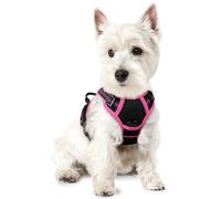 rabbitgoo Dog Harness Large Dog No Pull Pet Harness with 2 Leash Clips, Adjustable Soft Padded Pet Vest, Reflective No-Choke with Easy Control Handle for Training or Walking, Black & Rose Red, XS