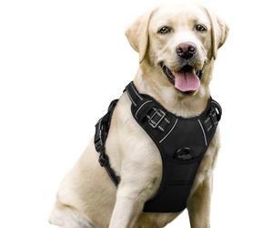 rabbitgoo Dog Harness Large Dog No Pull Pet Harness with 2 Leash Clips, Adjustable Soft Padded Pet Vest, Reflective No-Choke with Easy Control Handle for Training or Walking, Black, L