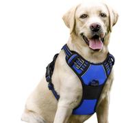 rabbitgoo Dog Harness Large Dog, No Pull Vest with Front Clip & Handle | No Choke, Adjustable, Breathable Padded, 2 Lead Rings, Reflective, Easy Control for Walking Training, L, Dazzling Blue
