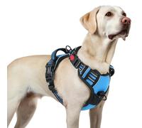 rabbitgoo Dog Harness Large Dog with Neck Release Buckle, No Pull Harness with Front Back Clips, Adjustable Soft Padded with Easy Control Handle, Reflective No-choke Pet Walking Vest, Sky Blue, L