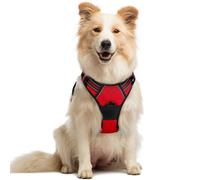 rabbitgoo Dog Harness Medium No Pull Pet Harness with 2 Leash Clips, Adjustable Soft Padded Pet Vest, Reflective No-Choke with Easy Control Handle for Training or Walking, Red, M