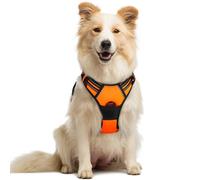 rabbitgoo Dog Harness Medium No Pull Pet Harness with 2 Leash Clips, Adjustable Soft Padded Pet Vest Harness, Reflective No-Choke with Easy Control Handle for Training or Walking, Orange, M