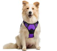 rabbitgoo Dog Harness Medium No Pull Pet Harness with 2 Leash Clips, Adjustable Soft Padded Pet Vest, Reflective No-Choke with Easy Control Handle for Training or Walking, Purple, M