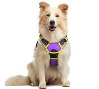 rabbitgoo Dog Harness Medium No Pull Pet Harness with 2 Leash Clips, Adjustable Soft Padded Pet Vest, Reflective No-Choke with Easy Control Handle for Training or Walking, Purple Yellow, M