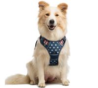rabbitgoo Dog Harness Medium No Pull Pet Harness with 2 Leash Clips, Adjustable Soft Padded Pet Vest Harness, Reflective No-Choke with Easy Control Handle for Training or Walking, Blue Star, M