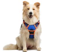 rabbitgoo Dog Harness Medium No Pull Pet Harness with 2 Leash Clips, Adjustable Soft Padded Pet Vest, Reflective No-Choke with Easy Control Handle for Training or Walking, Blue Orange, M