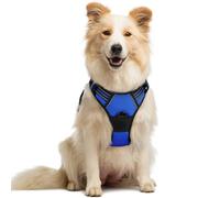 rabbitgoo Dog Harness Medium No Pull Pet Harness with 2 Leash Clips, Adjustable Soft Padded Pet Vest Harness, Reflective No-Choke with Easy Control Handle for Training or Walking, Blue, M