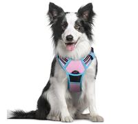 rabbitgoo Dog Harness Medium No Pull Pet Harness with 2 Leash Clips, Adjustable Soft Padded Pet Vest, Reflective No-Choke with Easy Control Handle for Training or Walking, Pink Blue M