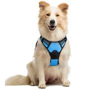 rabbitgoo Dog Harness Medium No Pull Pet Harness with 2 Leash Clips, Adjustable Soft Padded Pet Vest, Reflective No-Choke with Easy Control Handle for Training or Walking, Baby Blue, M