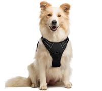 rabbitgoo Dog Harness Medium No Pull Pet Harness with 2 Leash Clips, Adjustable Soft Padded Pet Vest Harness, Reflective No-Choke with Easy Control Handle for Training or Walking, Black, M