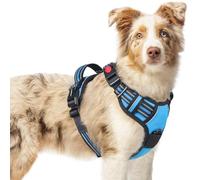 rabbitgoo Dog Harness Medium with Neck Release Buckle, Adjustable No Pull Harness with Front Back Clips, Soft Padded with Easy Control Handle, Reflective Pet Walking Vest, Sky Blue, M