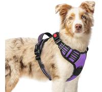 rabbitgoo Dog Harness Medium with Neck Release Buckle, Adjustable No Pull Harness with Front Back Clips, Soft Padded with Easy Control Handle, Reflective Pet Walking Vest, Purple, M