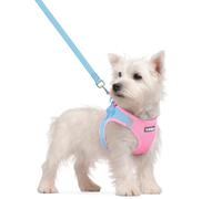 rabbitgoo Dog Harness Small Dog and Leash Set, Step-in Soft Mesh Puppy Harness with Reflective Strips, Lightweight Breathable Pet Vest for Walking Training, Blue & Light Pink, S