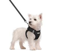 rabbitgoo Dog Harness Small Dog and Leash Set, Step-in Soft Mesh Puppy Harness with Reflective Strips, Lightweight Breathable Pet Vest for Walking Training, Black, S