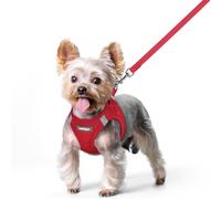 rabbitgoo Dog Harness Small Dog and Leash Set, Step-in Soft Mesh Puppy Harness with Reflective Strips, Lightweight Breathable Pet Vest for Walking Training, Red, XS