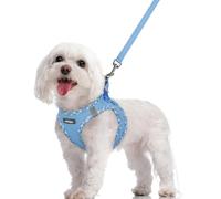rabbitgoo Dog Harness Small Dog and Leash Set, Step-in Soft Mesh Puppy Harness with Reflective Strips, Lightweight Breathable Pet Vest for Walking Training, Blue & Plaid Trim, M