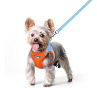 rabbitgoo Dog Harness Small Dog and Leash Set, Step-in Soft Mesh Puppy Harness with Reflective Strips, Lightweight Breathable Pet Vest for Walking Training, Blue & Orange, XS