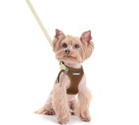 rabbitgoo Dog Harness Small Dog and Leash Set, Step-in Soft Mesh Puppy Harness with Reflective Strips, Lightweight Breathable Pet Vest for Walking Training, Brown & Beige, XXS