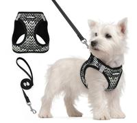 rabbitgoo Dog Harness Small Dog and Leash Set, Step-in Soft Mesh Puppy Harness with Reflective Strips, Lightweight Breathable Pet Vest for Walking Training, Black Zigzag, S