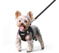 rabbitgoo Dog Harness Small Dog and Leash Set, Step-in Soft Mesh Puppy Harness with Reflective Strips, Lightweight Breathable Pet Vest for Walking Training, Black, XS