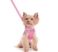 rabbitgoo Dog Harness Small Dog and Leash Set, Step-in Soft Mesh Puppy Harness with Reflective Strips, Lightweight Breathable Pet Vest for Walking Training, Light Pink, XXS
