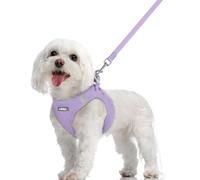 rabbitgoo Dog Harness Small Dog and Leash Set, Step-in Soft Mesh Puppy Harness with Reflective Strips, Lightweight Breathable Pet Vest for Walking Training, Light Purple, M