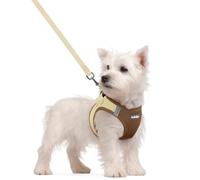 rabbitgoo Dog Harness Small Dog and Leash Set, Step-in Soft Mesh Puppy Harness with Reflective Strips, Lightweight Breathable Pet Vest for Walking Training, Brown & Beige, S