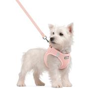 rabbitgoo Dog Harness Small Dog and Leash Set, Step-in Soft Mesh Puppy Harness with Reflective Strips, Lightweight Breathable Pet Vest for Walking Training, Pink, S