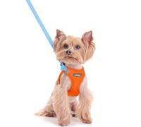 rabbitgoo Dog Harness Small Dog and Leash Set, Step-in Soft Mesh Puppy Harness with Reflective Strips, Lightweight Breathable Pet Vest for Walking Training, Blue & Orange, XXS
