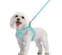 rabbitgoo Dog Harness Small Dog and Leash Set, Step-in Soft Mesh Puppy Harness with Reflective Strips, Lightweight Breathable Pet Vest for Walking Training, Mint Blue, M