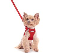 rabbitgoo Dog Harness Small Dog and Leash Set, Step-in Soft Mesh Puppy Harness with Reflective Strips, Lightweight Breathable Pet Vest for Walking Training, Red, XXS