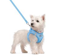 rabbitgoo Dog Harness Small Dog and Leash Set, Step-in Soft Mesh Puppy Harness with Reflective Strips, Lightweight Breathable Pet Vest for Walking Training, Blue, S