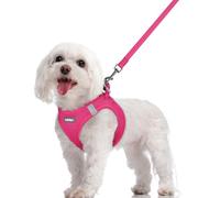 rabbitgoo Dog Harness Small Dog and Leash Set, Step-in Soft Mesh Puppy Harness with Reflective Strips, Lightweight Breathable Pet Vest for Walking Training, Hot Pink, M