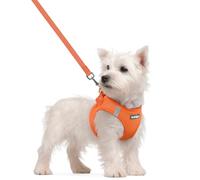rabbitgoo Dog Harness Small Dog and Leash Set, Step-in Soft Mesh Puppy Harness with Reflective Strips, Lightweight Breathable Pet Vest for Walking Training, Orange, S