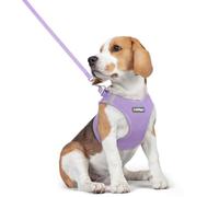rabbitgoo Dog Harness Small Dog and Leash Set, Step-in Soft Mesh Puppy Harness with Reflective Strips, Lightweight Breathable Pet Vest for Walking Training, Light Purple, L