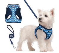 rabbitgoo Dog Harness Small Dog and Leash Set, Step-in Soft Mesh Puppy Harness with Reflective Strips, Lightweight Breathable Pet Vest for Walking Training, Blue Zigzag, S