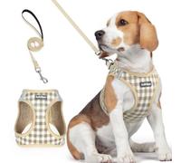 rabbitgoo Dog Harness Small Dog and Leash Set, Step-in Soft Mesh Puppy Harness with Reflective Strips, Lightweight Breathable Pet Vest for Walking Training, Beige Plaid, L