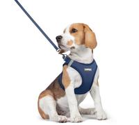 rabbitgoo Dog Harness Small Dog and Leash Set, Step-in Soft Mesh Puppy Harness with Reflective Strips, Lightweight Breathable Pet Vest for Walking Training, Navy Blue, L